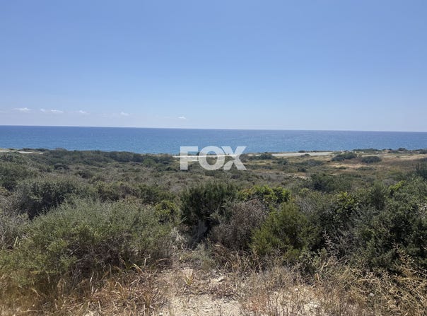 Moni, Limassol