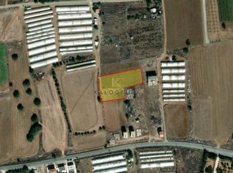 Maroni, Larnaca, Larnaca, Larnaca