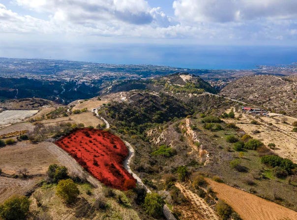 Koili, Paphos 8543