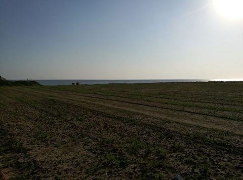 Lárnax, Larnaca