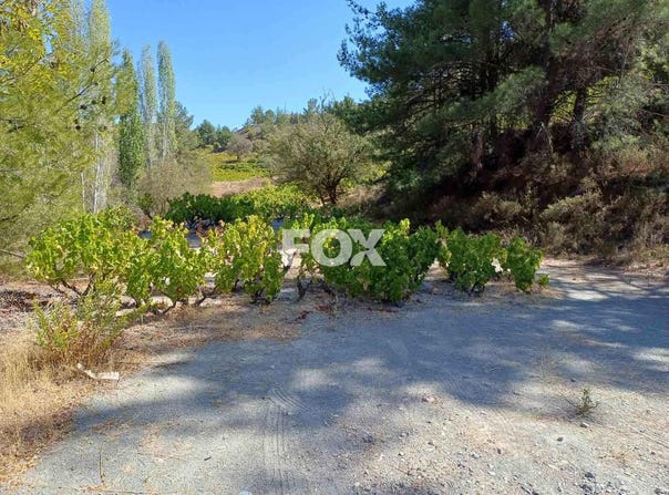 Agrídia, Limassol