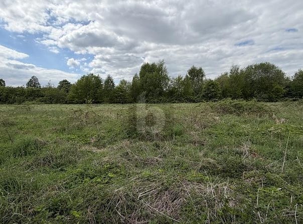 Pinneberg, Schleswig-Holstein 25421