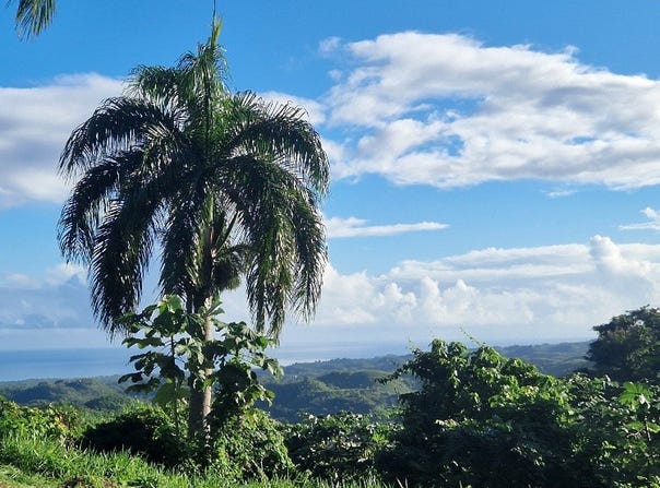 El Jamito, Samaná, Samaná Province 32000