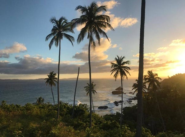 Punta Balandra, Samaná, Samaná Province 32000