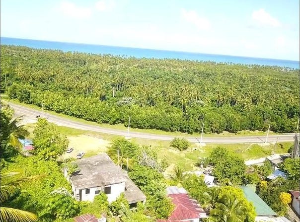 El Cosón, Samaná, Samaná Province 32000