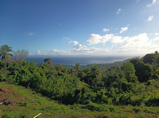 Samana, Samana, Samaná Province 32000
