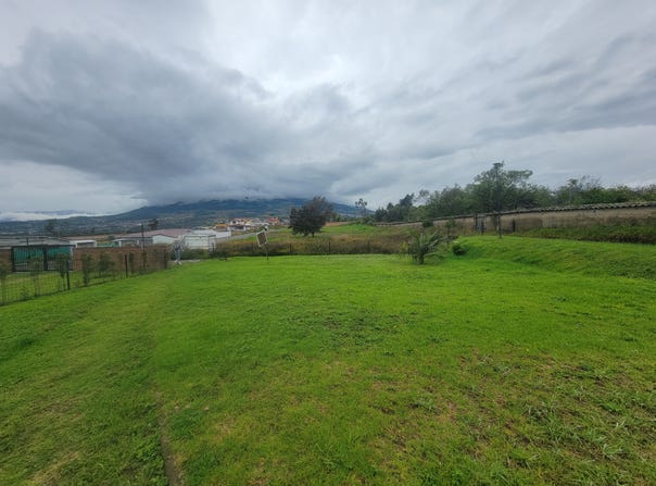 8P4Q+FP, Cotacachi, Imbabura Province