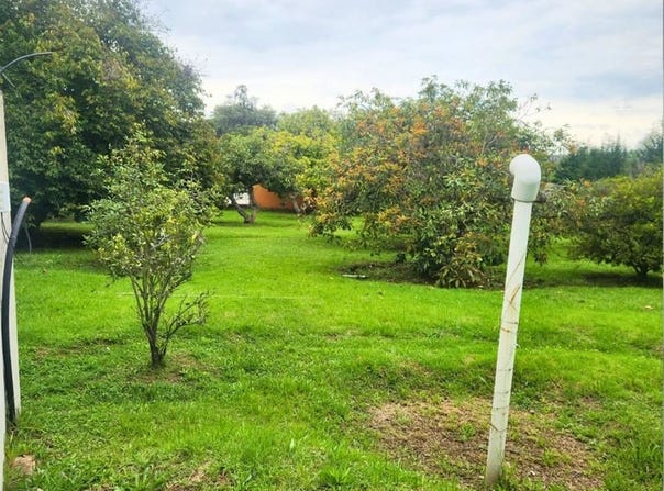 Countryside Home Construction Site For Sale in Guayllabamba, Guayllabamba, Pichincha