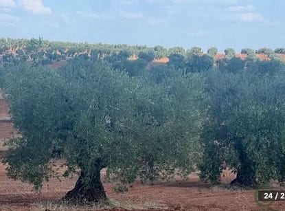 Badajoz, Extremadura
