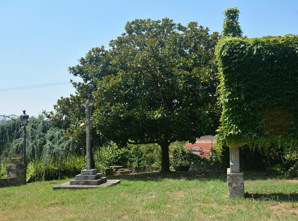 Padron, Galicia 15917