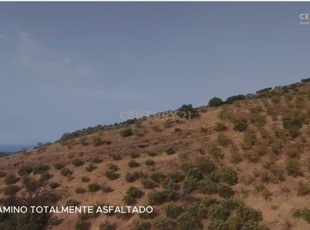 Borge (El), Andalusia
