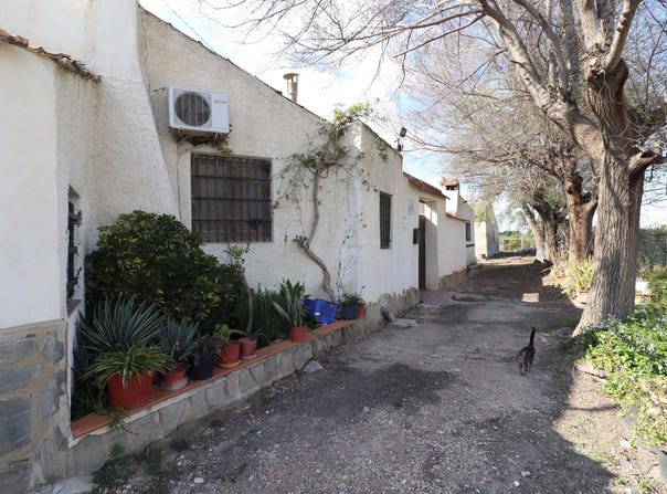 Almoradi, Valencian Community 03179