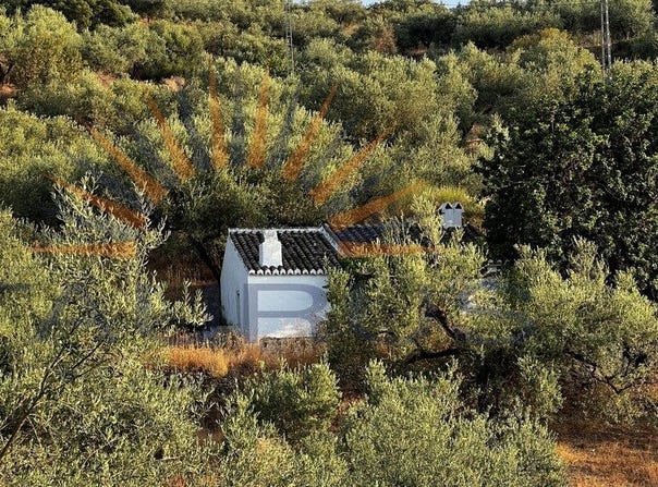 Alcaucín, Andalusia 29711