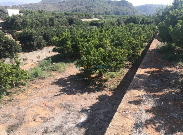 Oliva, Valencian Community 46780