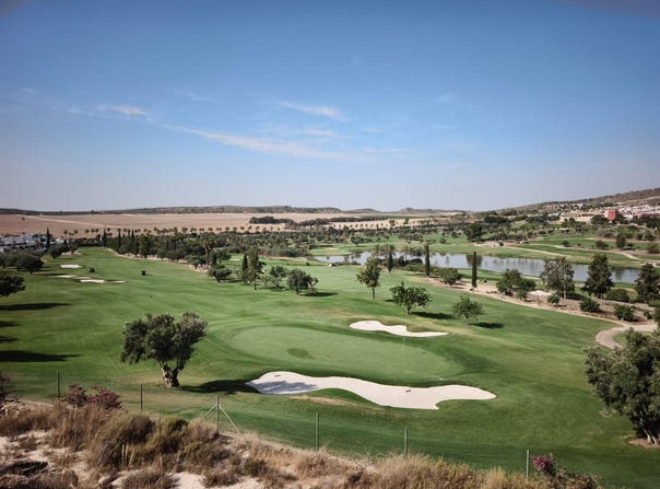 Algorfa, Valencian Community 03169