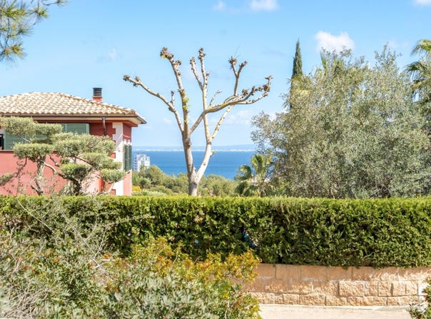 Calvià, Balearic Islands 07181
