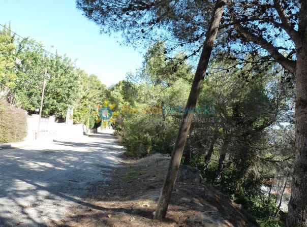 Oliva, Valencian Community 46780