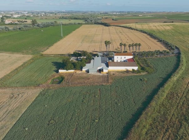 Huelva, Andalusia 21007