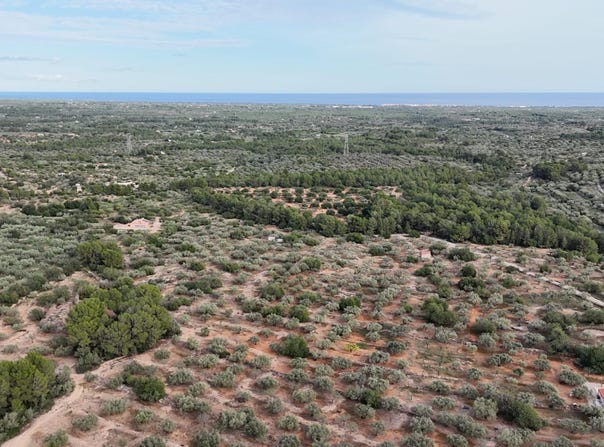 El Perello, Catalonia 43519