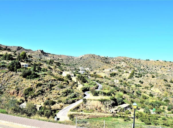 Bédar, Andalusia 04288