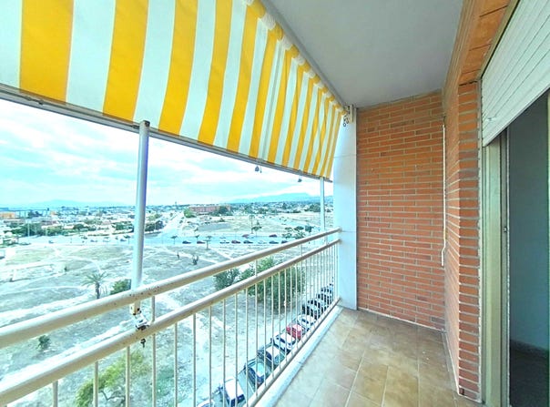 Elche/Elx, Valencian Community