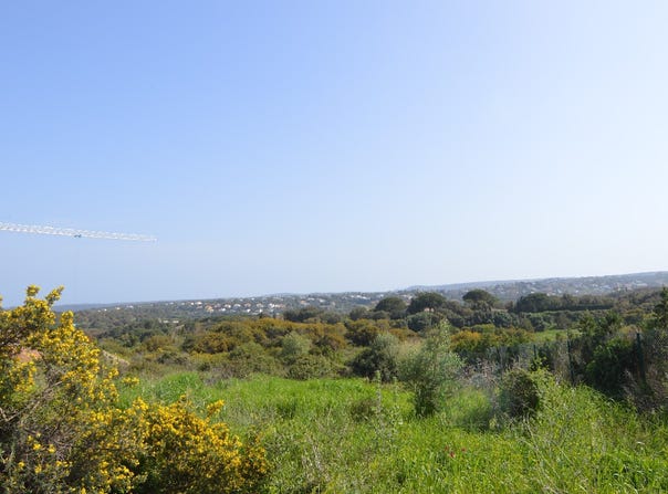 SotograndeCadiz, Andalusia 11310