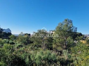 Calpe, Alicante/alacant 03710