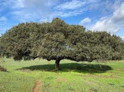 Badajoz, Extremadura
