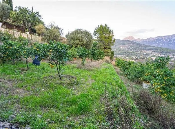 Sóller, Balearic Islands 07100