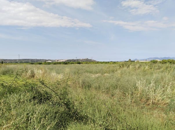 Càrcer, Valencian Community