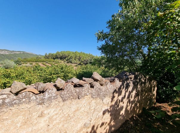 Tivissa, Catalonia 43746
