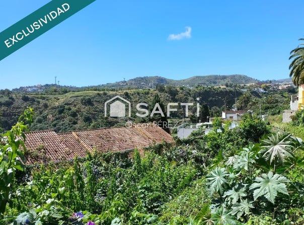 Santa Brigida, Canary Islands 35307