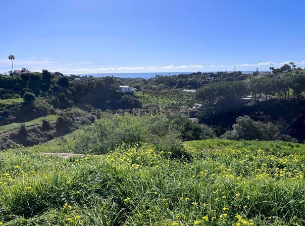 Estepona, Andalusia