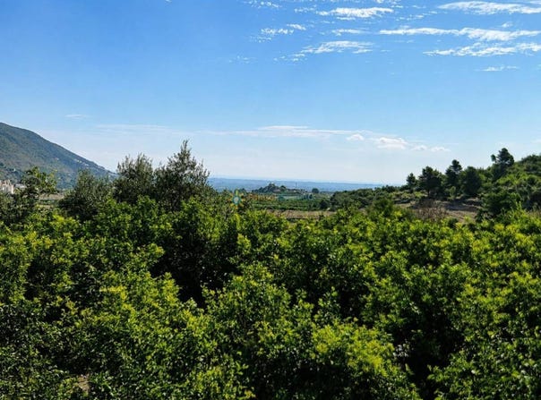 L'Atzúbia, Valencian Community 03786