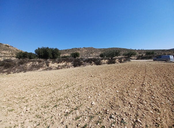 Pinoso, Valencian Community 03659