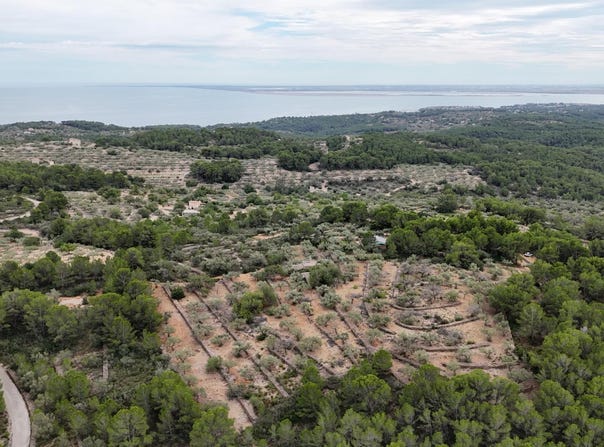 El Perello, Catalonia 43519