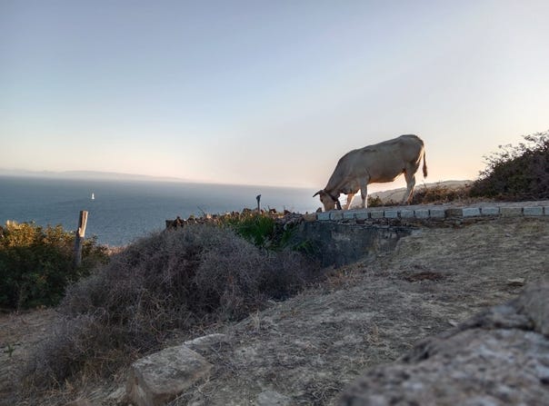 Tarifa, Andalusia 11380