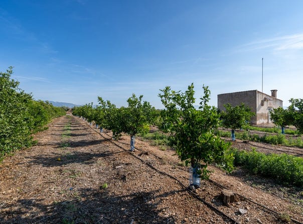 Santa Bárbara, Catalonia 43570