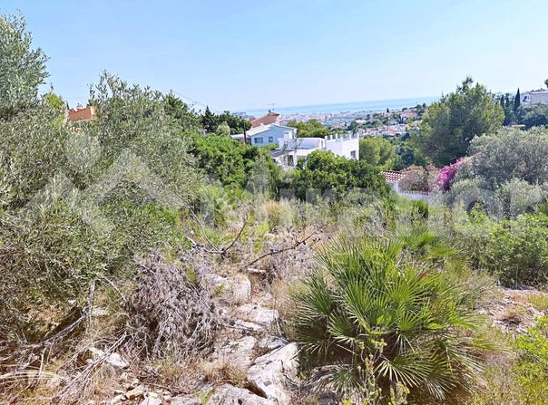 Dénia, Valencian Community 03700