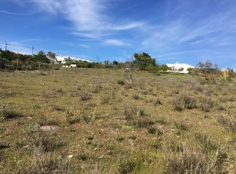 Cancelada, Andalucía