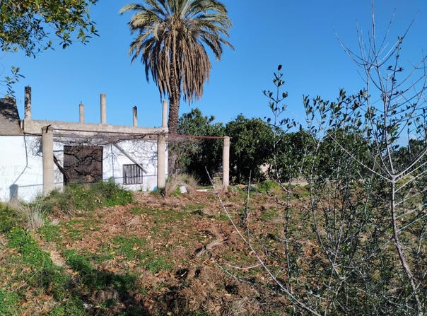 Pego, Valencian Community 03789