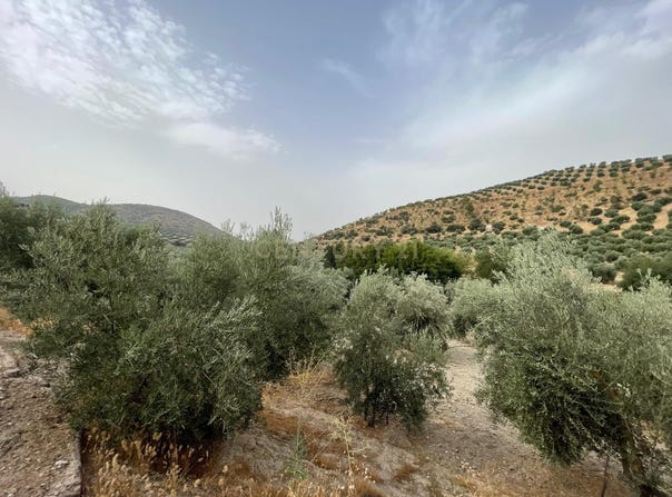 Illora, Andalusia