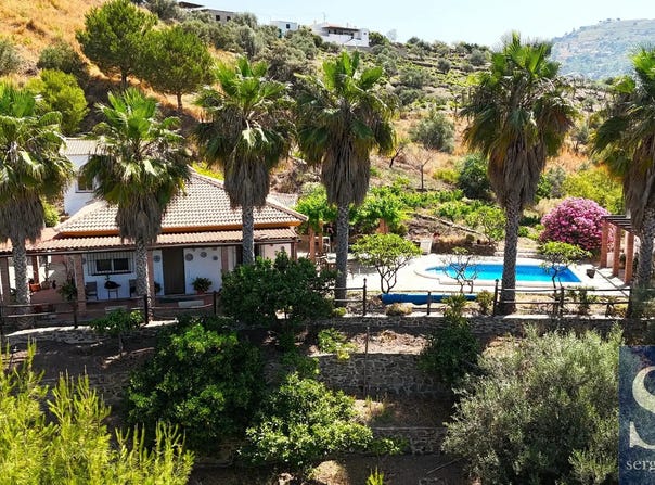 Sayalonga, Andalusia 29752