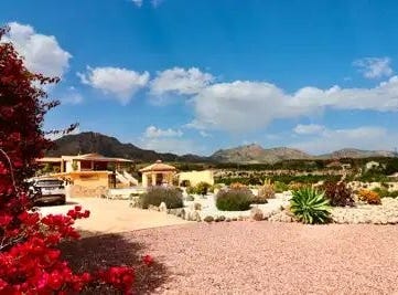 Albatera, Valencian Community 03340