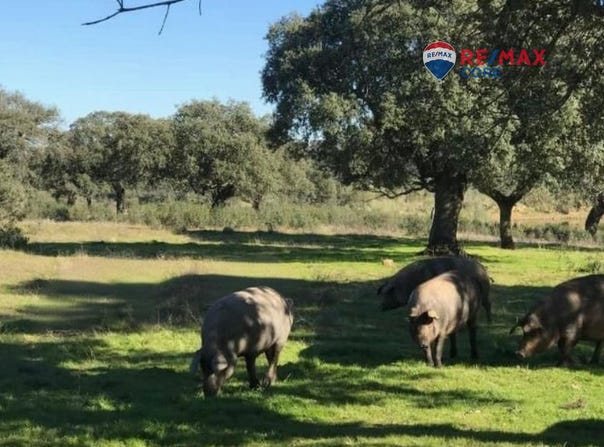 Badajoz, Extremadura 06010