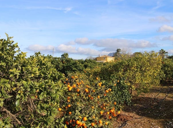 Ondara, Valencia 03760