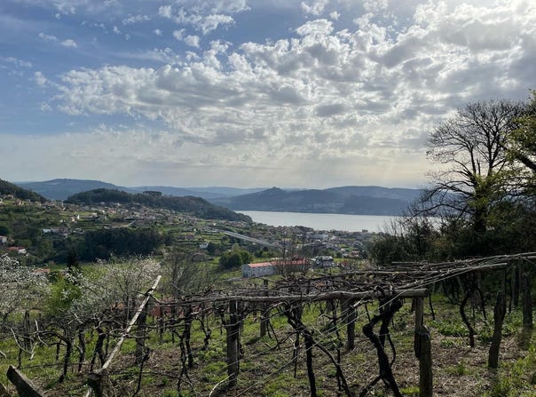 Vilaboa, Galicia 36140