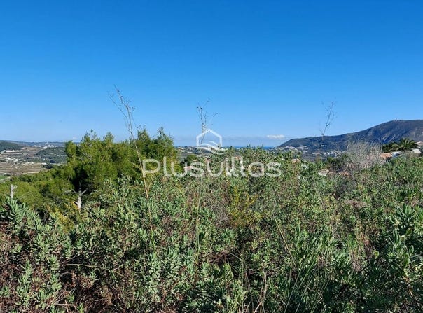 Teulada, Valencian Community 03725