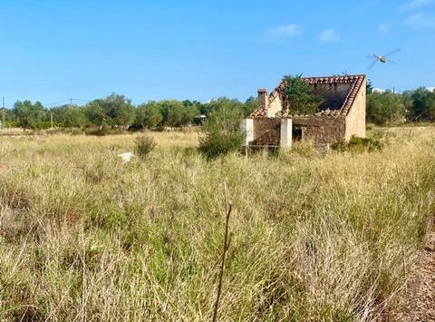 Santa Barbara, Tarragona