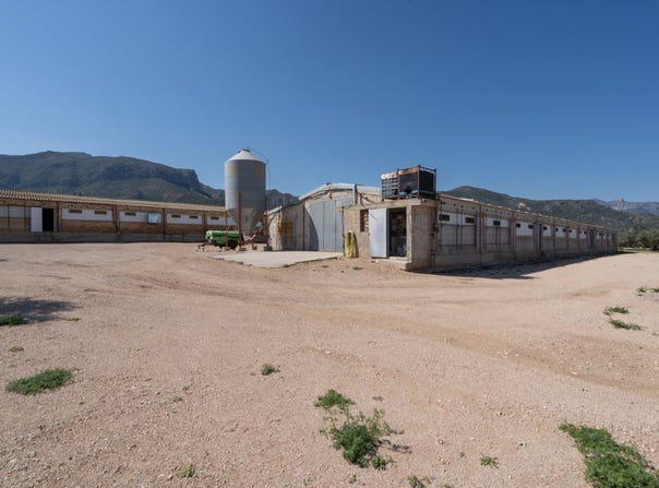 Roquetes, Catalonia 43520